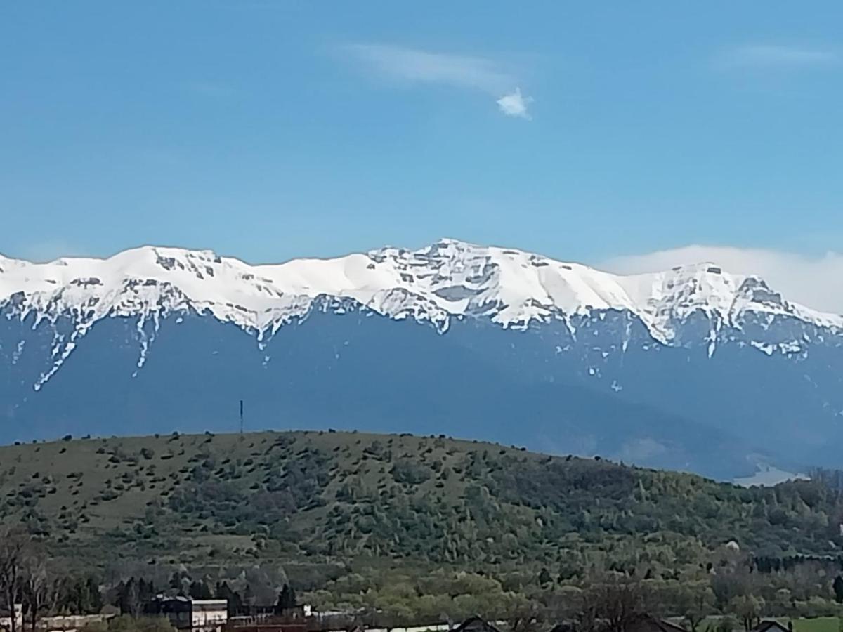 Le Nid D'Adam Apartment Zărneşti Екстериор снимка